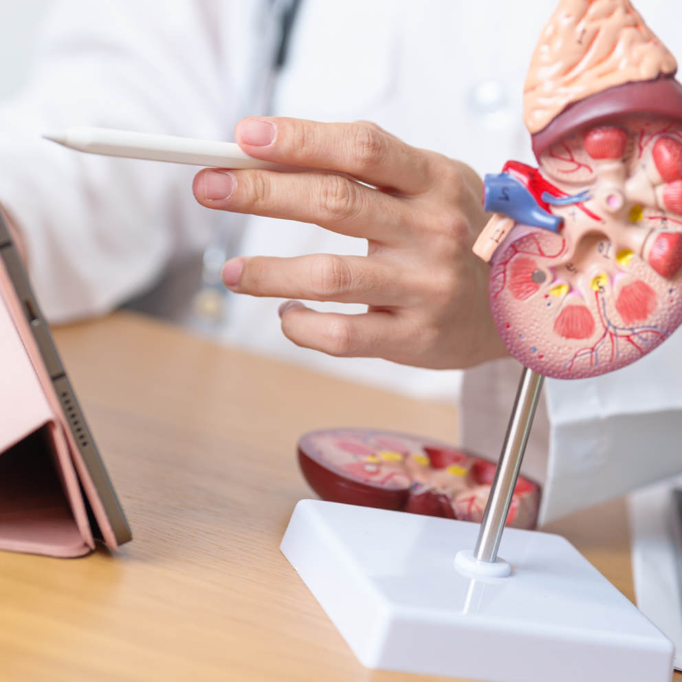 Your Guide to Dialysis Technician Certification in Delaware