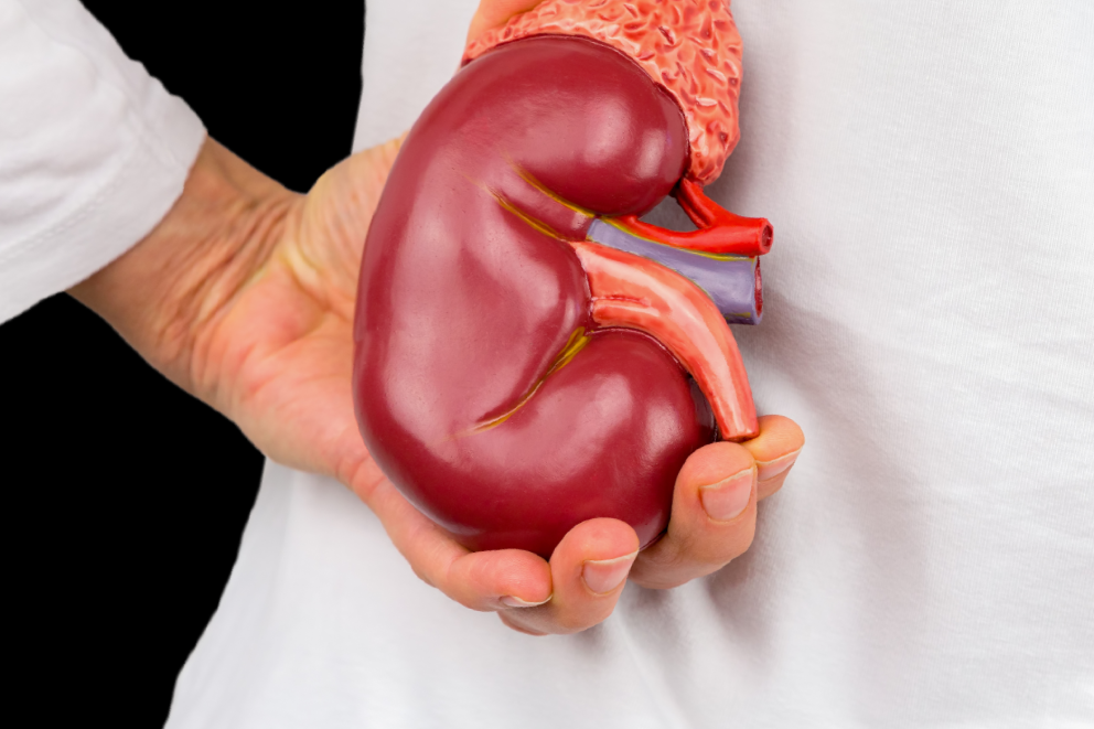 a Certified Hemodialysis Technician in New Mexico